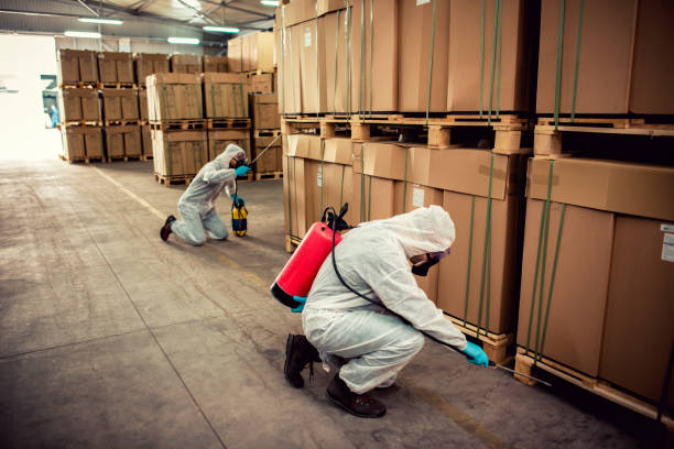 Best Insect Control  in Sky Valley, CA