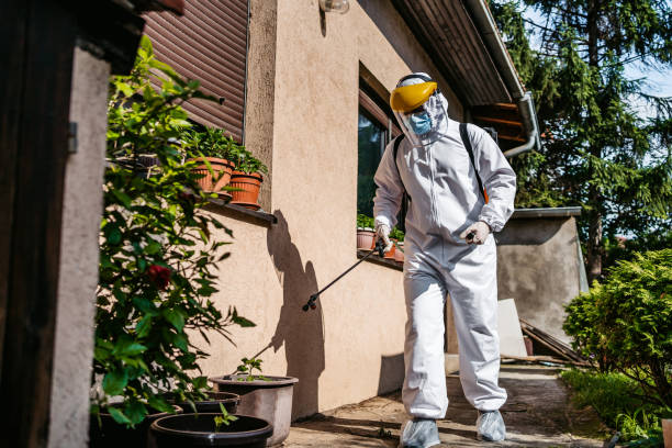 Pest Control Cost in Sky Valley, CA