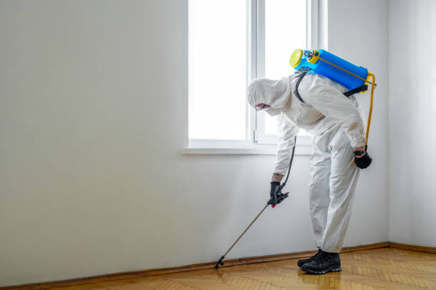 Professional Pest Control in Sky Valley, CA