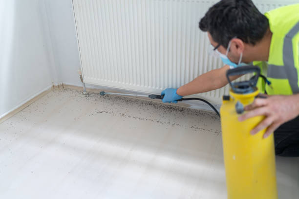 Best Affordable Pest Control Services  in Sky Valley, CA