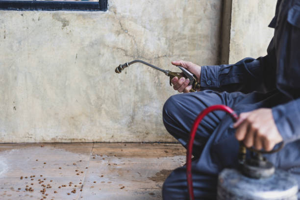 Best Best Pest Control Companies  in Sky Valley, CA