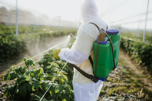 Best Affordable Pest Control Services  in Sky Valley, CA